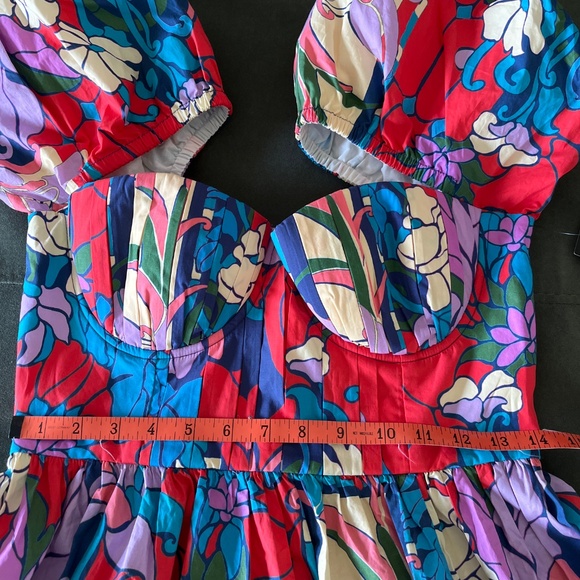 NWT Tuckernuck Climbing Cosmos Valerie dress 8 - Picture 13 of 16